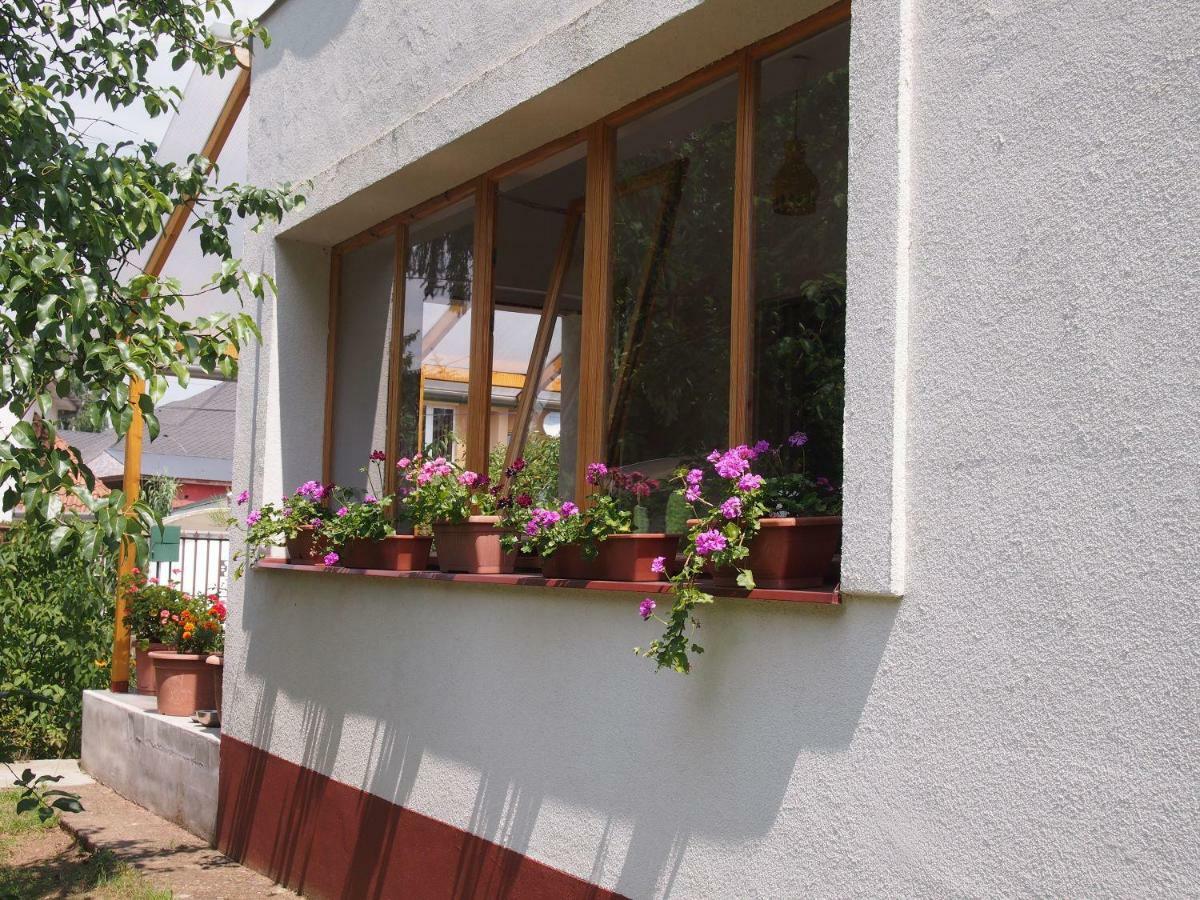 Deel Apartman นีเรกฮาซา ภายนอก รูปภาพ